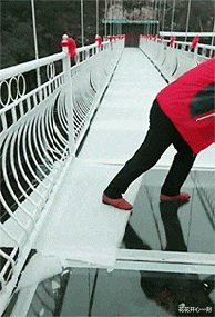 |搞笑图片大合集,哈哈哈哈哈哈哈哈!网友:黑色显瘦竟然是真的?