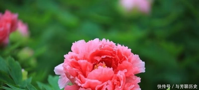 刘禹锡很美的一首诗,从开篇美到结尾,读过的人都会念念不忘!