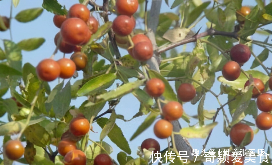 好处|40岁女性要坚持吃三种食物,补充营养,延缓衰老,好处多多