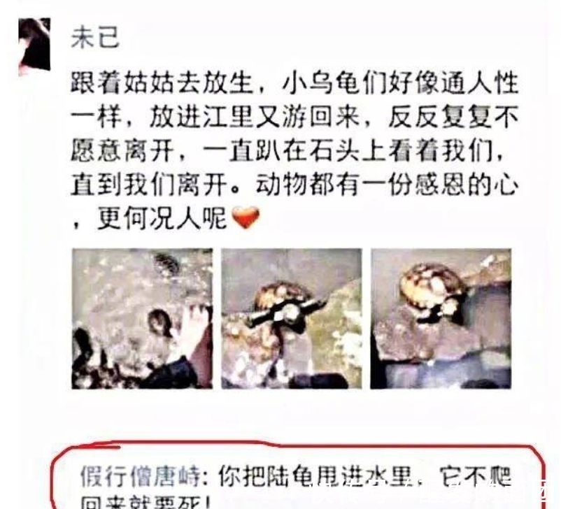 |你有哪些让人笑到肚子疼的搞笑图片?