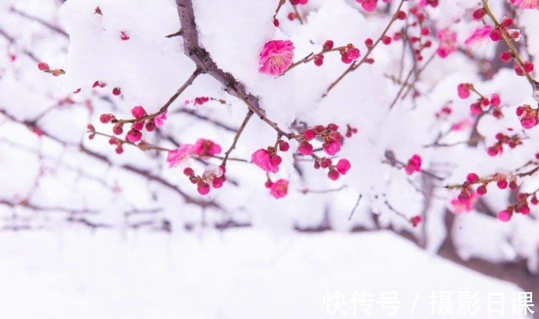 梁尘飞&冬日时光诗六首,昼短苦夜长,何不秉烛游,古人在寒夜里做什么?