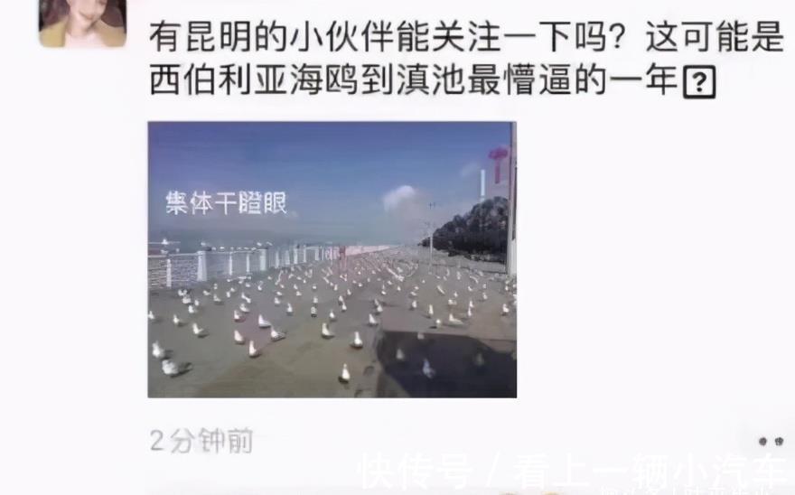 |搞笑图片:噗哈哈哈,你偷塔都能被抓还偷电瓶呢