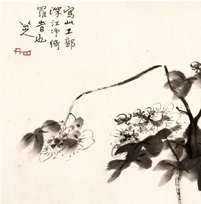 作品$八大山人的小品花鸟图:意境超过齐白石,笔法空灵布局巧妙大胆