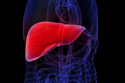 肝脏|豆浆是肝病的“发物”？医生坦言：不想肝脏报废，2物尽早拉黑