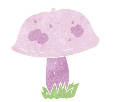 新冠肺炎|安徽疾控八月卫生防病提示