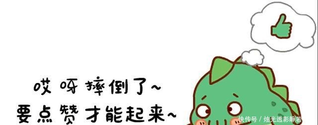 伪妆|宠文休书刚到手,她便卸下丑陋伪妆潇洒离去,皇上和宾客全傻眼