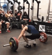 |搞笑GIF:人类意外能有多搞笑