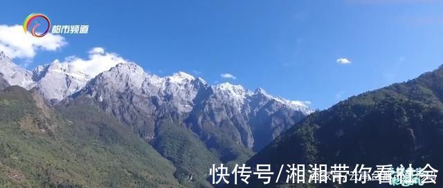 玉龙雪山|玉龙雪山龙胆花开正艳