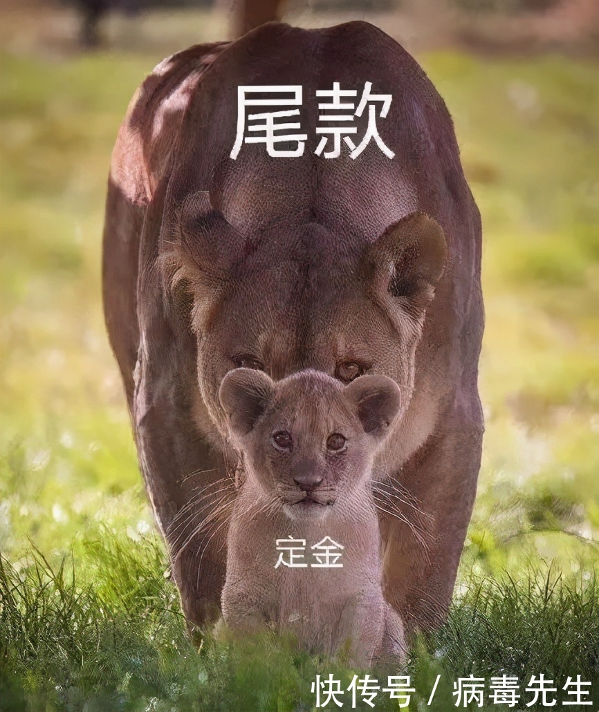 狂欢|熬夜奋战的「尾款人」,你退货了吗?