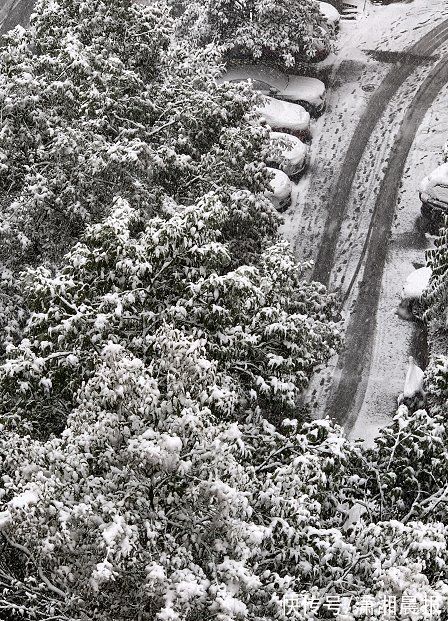 高海拔|从“哇！下雪了”到“哦，下雪了”，这个冬天湖南雪格外多？