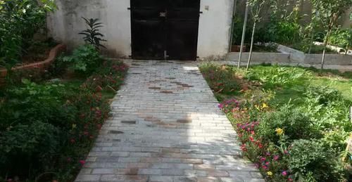 我的100㎡农家小院,种菜、养花、植树、养鱼,漂亮极了