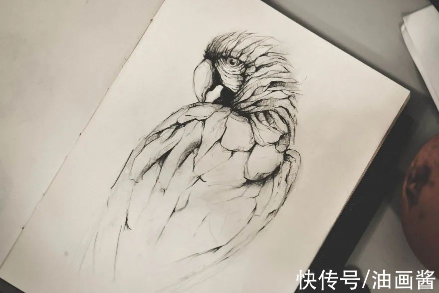 素描@艺术家公开自己的速写本,风格化的动物素描,?个个惹人爱