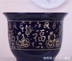 透气性|家中的花盆你选对了吗 每一种花盆都适合养什么, 千万不要乱用