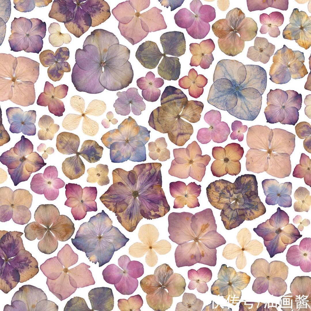 艺术作品&她画画的材料是花瓣,工具是把刀,直接用刀刻出画