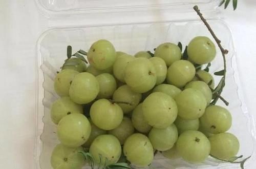 肌肤|人到中年，不妨多吃以下食物，可以滋养肌肤，改善气色，早吃早好