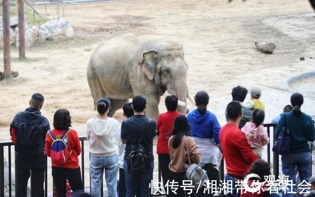 亲子游|周末，青岛野生森林动物园亲子游人气旺