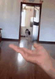 国家|“全世界有198面国旗,为什么没有国家用紫色?”太疑惑了