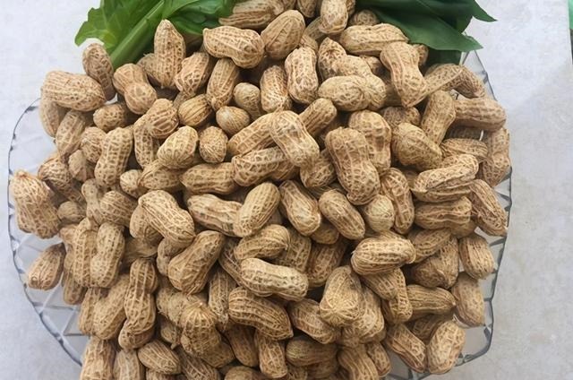 膳食纤维|最新研究发现:每天吃几粒花生能让血管健康,可每天具体吃多少?