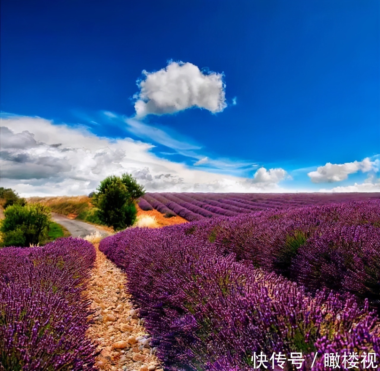 大地|不容错过的大地风景