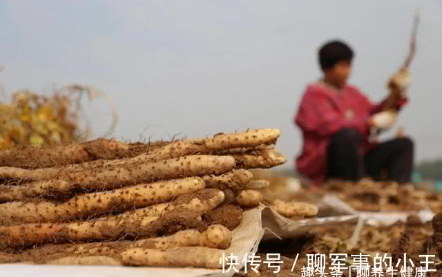 补虚季|一年中最重要的补虚季,秋天吃这5种食物,让虚弱的脏腑强健起来