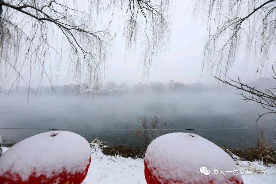 冬雪|百脉仙境｜飘然而至的冬雪，童话了世界，百脉沸腾宛若琼瑶仙境