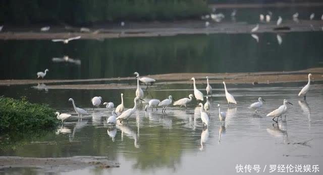 中年|不负春日好时光,请查收西安游园邀请!