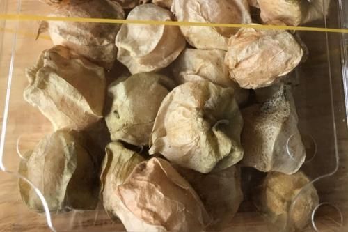 去农村看见这种野果子要记得采摘,可以抗衰老,价值很高!