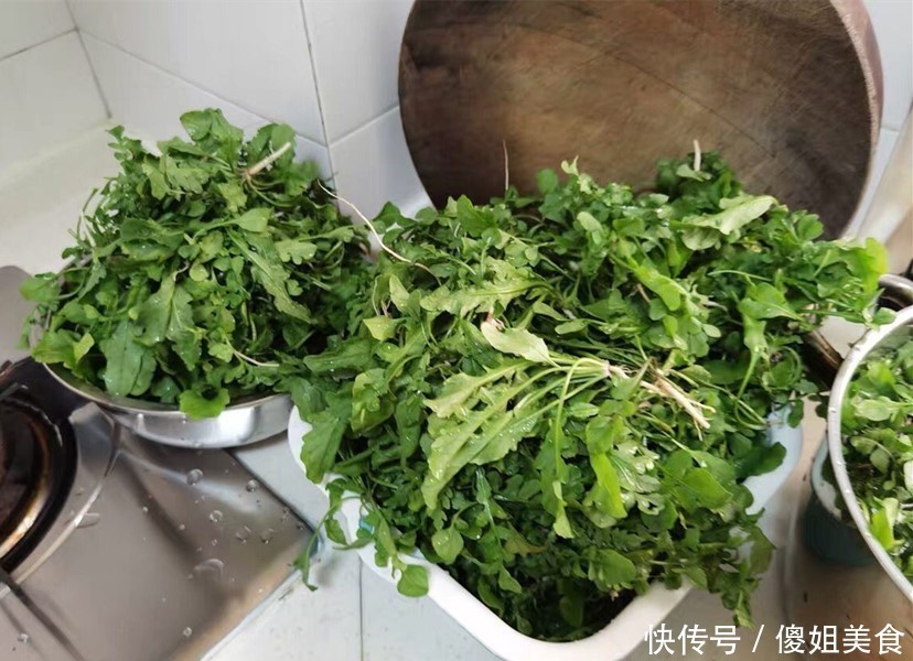 我家|冬天用它包饺子,比白菜萝卜鲜,再贵也要吃,我家一周吃4次