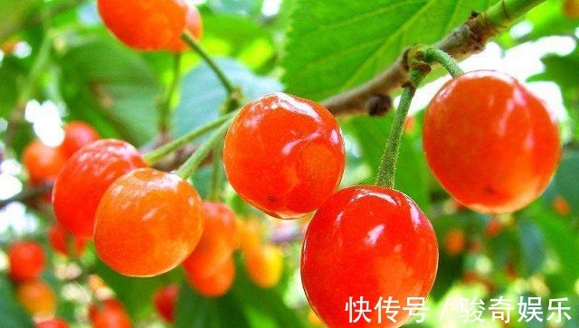 维生素c|女人过了45岁,常吃以下3种水果,能养肝明目,淡斑防皱纹