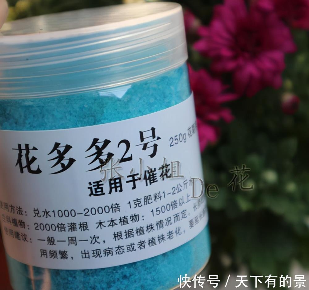 “花多多”肥料几十种,眼花缭乱看不懂?4种就够,多了没用!
