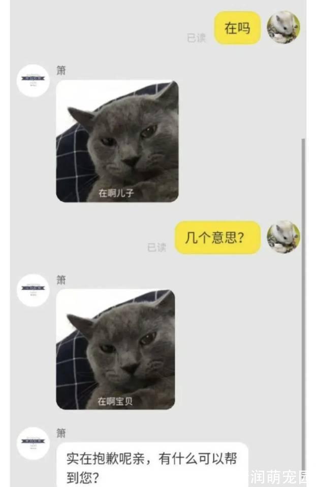 顾客|“某宝顾客强行挑错是什么体验?”商家:我是不是看起来不太聪明