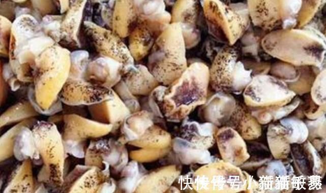 水泡|吃不起鲍鱼可吃它,1斤才9元,不但补钙而且有助于长大个!