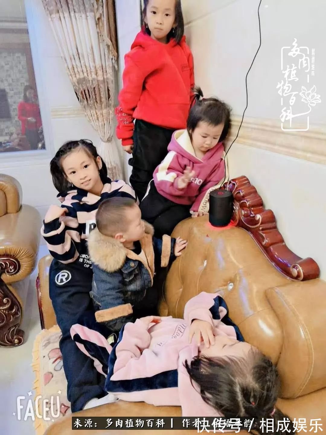 何以解忧,唯有多肉!目光所及,皆是喜欢!