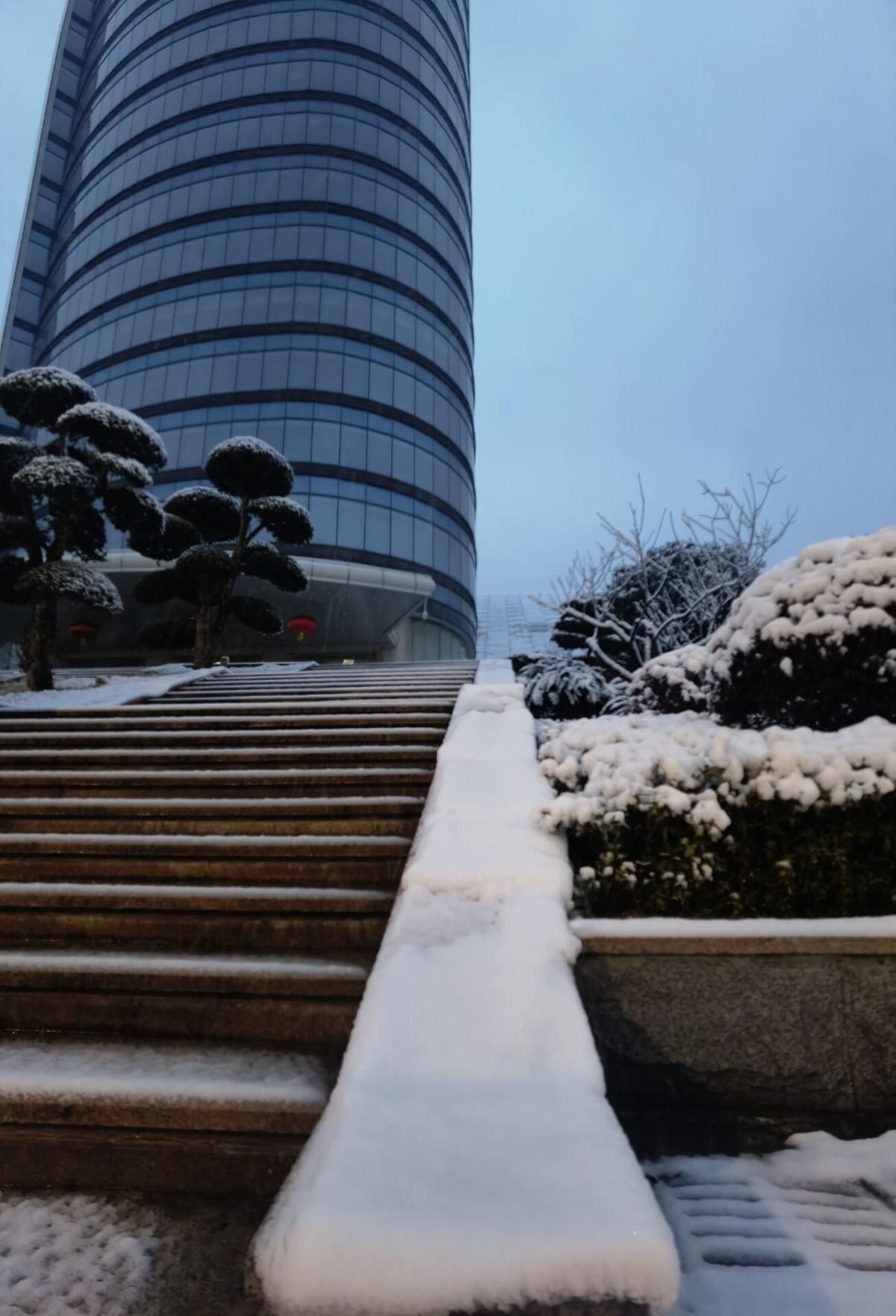 雪下|雪下一整夜 武汉披白衣