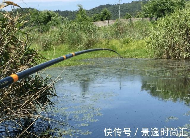 野河钓鲫，钓位这样选，渔获之多，一盆装不下