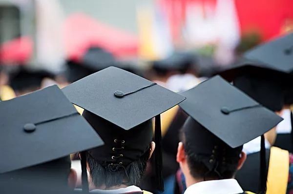 文化|当“贵族文化”脱离“平民文化”,结局将很惨