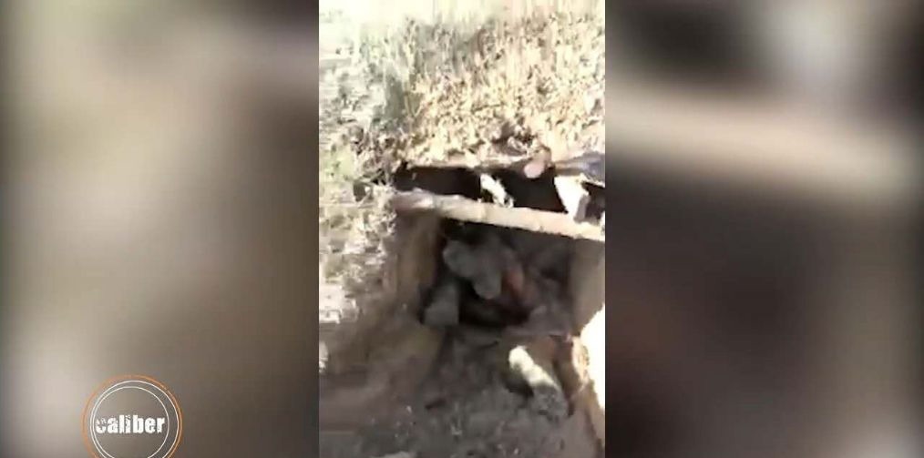 堑壕战|誓死不投降打到底，阿塞拜疆士兵伤亡惨重枪毙亚美尼亚伤兵泄愤