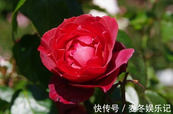 福运@俗话说:人生不如意,十之八九,牢记4句话,从此福运不断!