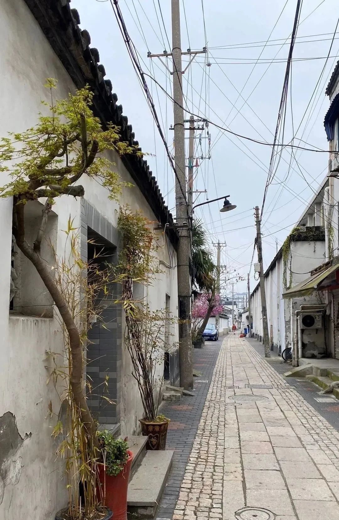 关巷名|不起眼的海红坊,却与三位鼎鼎有名的大人物有关!