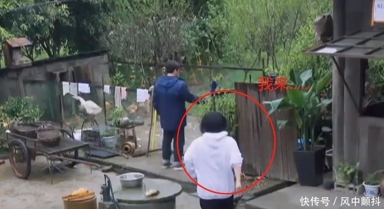 刘晓邑 下期《向往5》迎来最猛女嘉宾,进鸡窝徒手抓鸡,张艺兴都看懵了