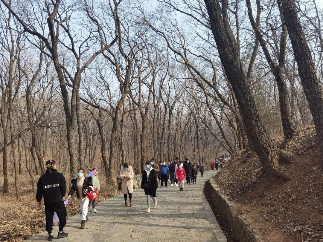 老年|大年初一皇藏峪景区游人如织