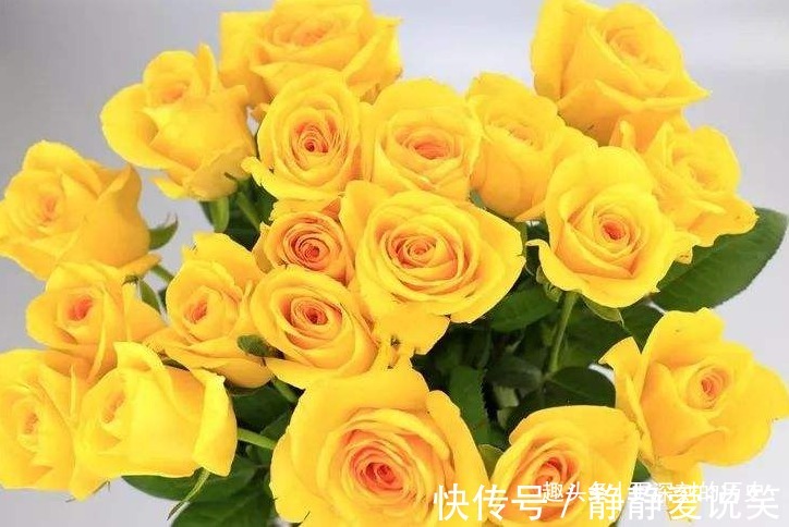 此花风姿绰约,自带一种金玉的尊贵和女性的馨香,代表着已逝的爱