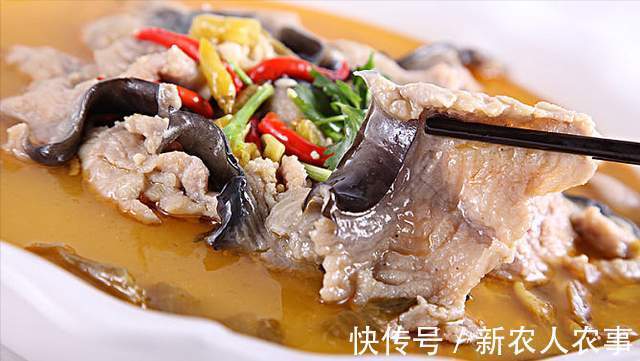 深圳一河中“鱼儿成灾”,岸边却一个钓鱼人也没有,原因令人无奈