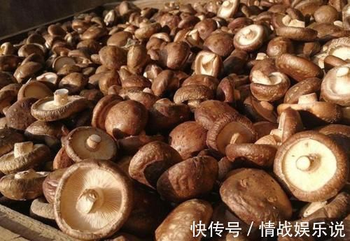 做菜|买香菇，有大有小选哪种最好？教你正确方法，几点技巧要牢记