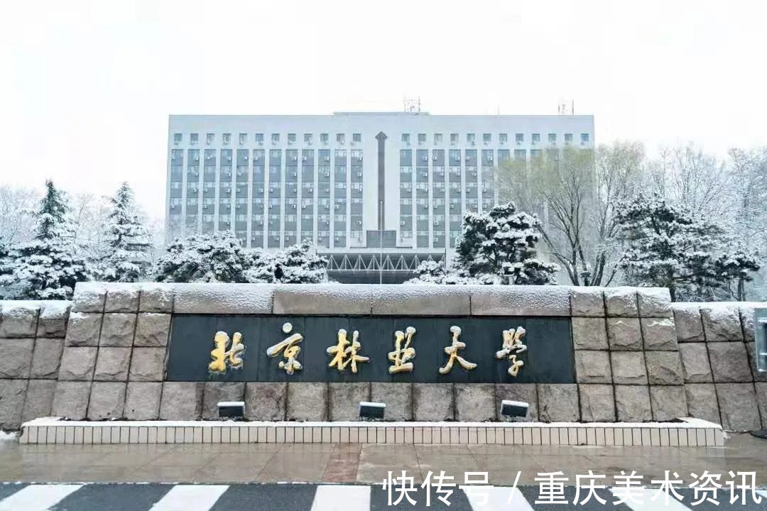 北京林业大学2021年美术类专业录取分数线|热门211 | 录取