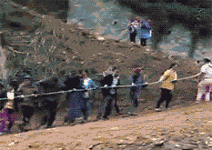 |搞笑GIF:好家伙这到底谁哪位大神砸过来的,竟能这么准