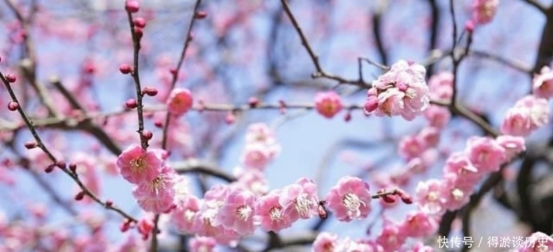 梅花|高僧在大雪纷飞的清晨，见到了雪中的梅花，信手拈来写下一首诗！