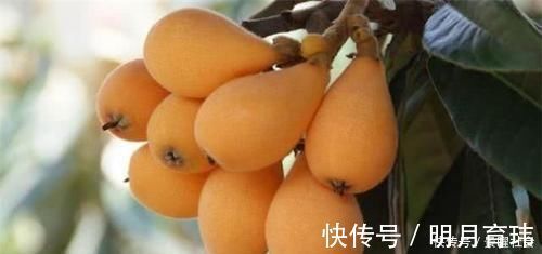 袪皱淡斑|女性想显年轻,几种食物要多吃,美容养颜,袪皱淡斑,早吃早好