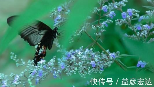 清明&宋词之前最美的一首《蝶恋花》,意境美,韵味足,是词坛千古名篇