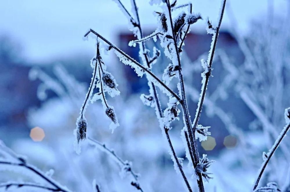  咏雪|这10首咏雪诗词，不带一个雪字，却写尽雪之美！